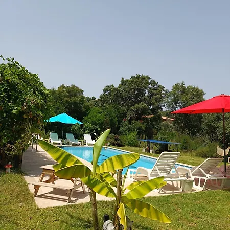 Pinarello - Quatre Pieces Dans Un Ecrin De Verdure Et Piscine Privative 9mx4m Horská chata